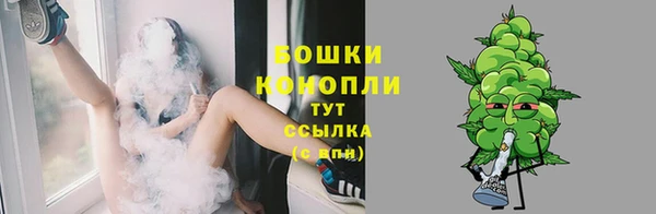 дурь Касимов