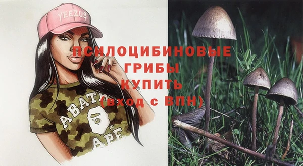 марки lsd Карпинск