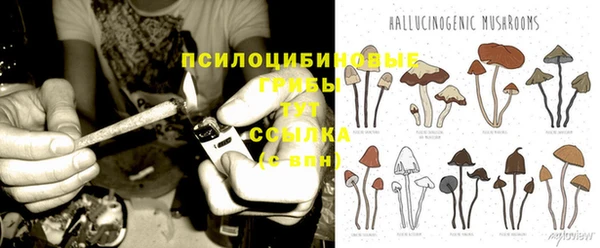 прущая мука Карталы